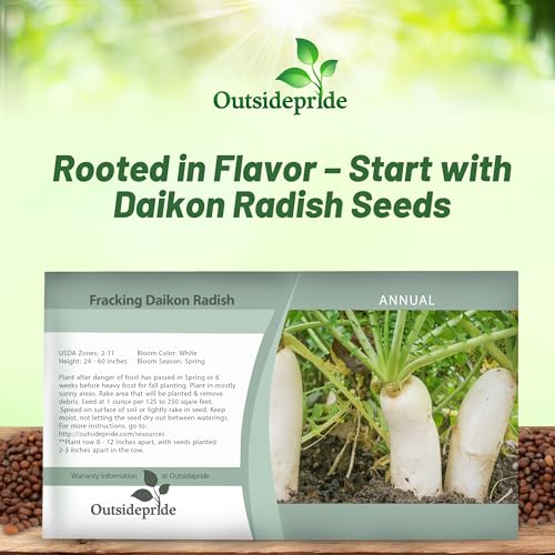 Outsidepride Annual Daikon Radish Seeds - 1 oz. Chinese, Japanese, & Oriental Radish Seeds for Soil Health, Erosion Control, & Soil Aeration - Ideal for Gardens, Cover Crops, Pastures, & Food Plots