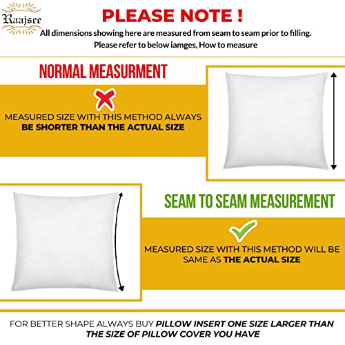 raajsee 16x16 Pillow Inserts Set of 2, Firm nd Fluffy Down Alternative Throw Pillows for Couch, Pillow Stuffing for Couch Sham Filler, Sofa Pillow from 16x16, Throw Pillow Inserts 16 x 16