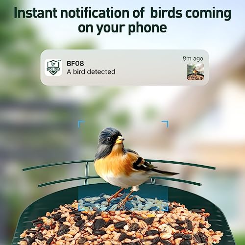 SOLIOM Bird Feeder with Camera Wireless Outdoor,Video Bird Feeder Camera with AI Identify Bird Species,Auto Record Bird Video & Notify You,5W Solar Panel,IP65 Weatherproof,Metal Case BF08(Blue)