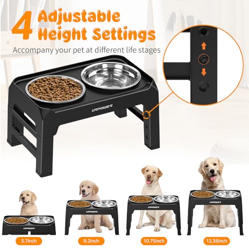 URPOWER Elevated Dog Bowls 4 Height Adjustable Raised Dog Bowl with No Spill Edge 2 Thick 50oz Stainless Steel Dog Food & Water Bowl Non-Slip Dog Bowl Stand for Small Medium Large Dogs and Pets