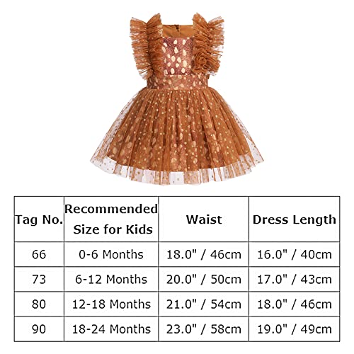 Toddler Baby Flower Girl Ruffle Sleeve Romper Dress Polka Dot Tulle Dresses Shiny Sequins Pageant Princess Wedding Prom Dress Christening Baptism Easter Birthday Dresses White Butterfly 6-12 Months