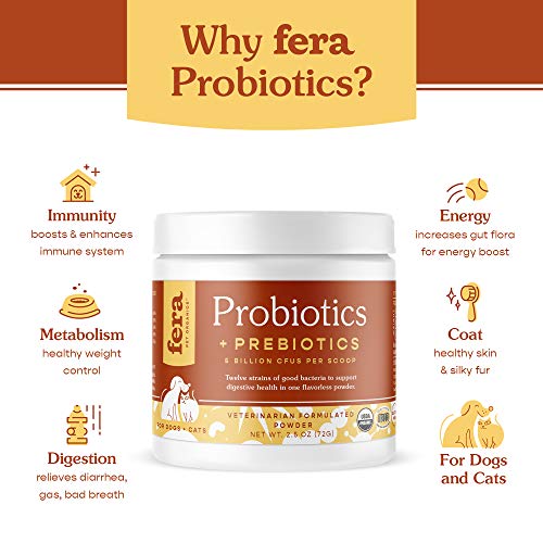 Fera Pets Postbiotics Plus for Dogs– Vet Created Dog Prebiotics & Postbiotics Supplement for Your Pet’s Digestive Health & Immune Support – 120 Scoops