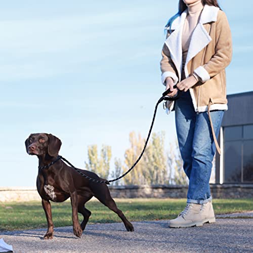 Surepet Slip Lead Dog Leash - 4/5/6 Foot Heavy Duty & Reflective Rope Leashes with Comfortable Handle - No Pull Training Leash for Puppy Small Medium and Large Breed Dogs - (1/2''-6FT, Blue)