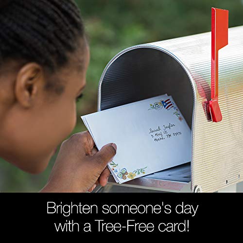 Tree-Free Greetings - All Occasion Cards - Artful Designs - 8 Assorted Cards + Matching Envelopes - Made in USA - 100% Recycled Paper - 5"x7" - Dream Big Graduation (GA54282)