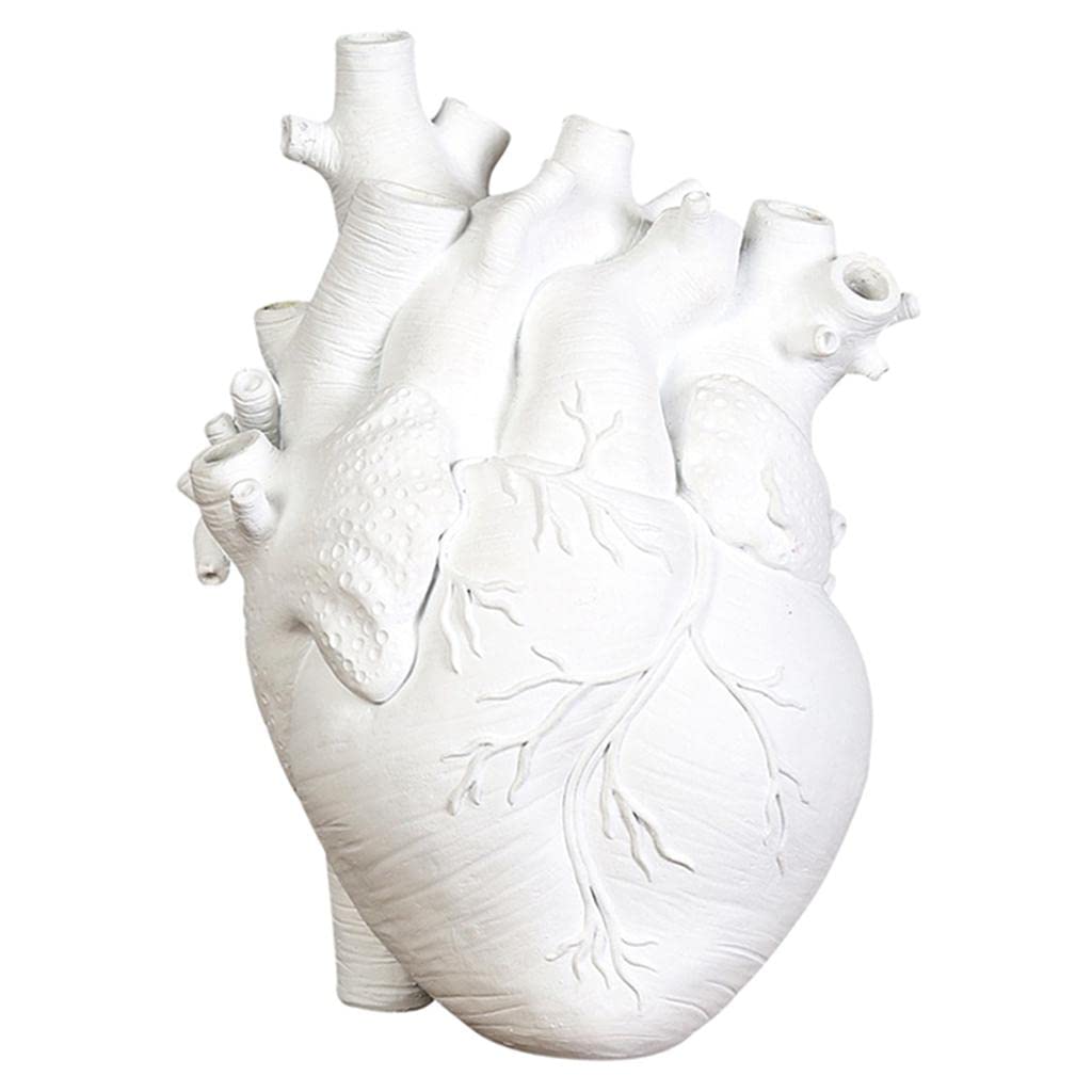 Prettyia Creative Vase, Anatomical Heart Flower Pot Sculpture Resin Statue, Modern Office Home Living Room Desktop Decoration, White 11.5x8x16.5CM