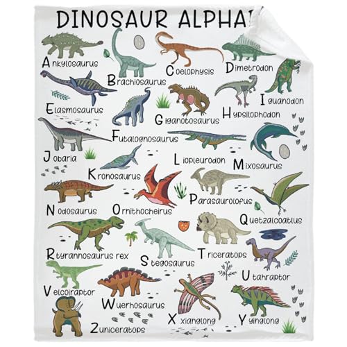 Just A Girl Who Loves Dinosaurs4 Blanket for Teen Cute Dinosaur Throw Blanket Gifts for Girls Boys Soft Throws Blankets All Seasons 50×60 Inches for Bed Office