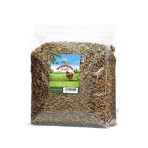 WORMSKING 2LB Dried Black Soldier Fly Larvae, More Calcium Than Dried Mealworms, High Protein Chicken Feed, Poultry Treat, Chicken Scratch