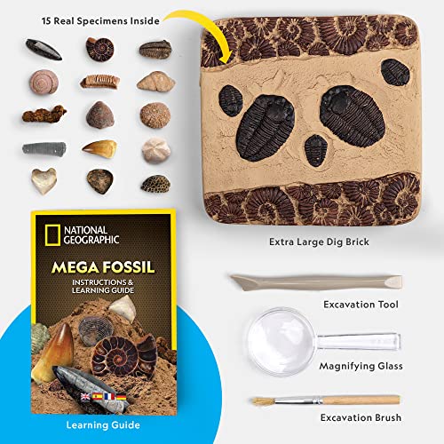 NATIONAL GEOGRAPHIC Mega Fossil Dig Kit - Excavate 15 Genuine Prehistoric Fossils, Kids Fossil Kit, Educational Toys, Great Science Kit Gift for Girls and Boys (Amazon Exclusive)