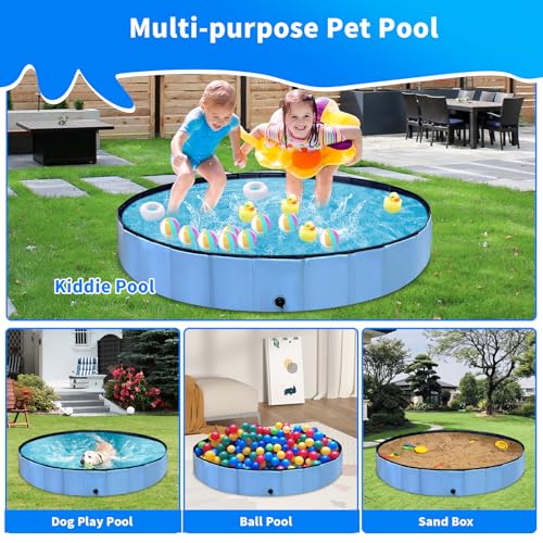 Thecvia Foldable Dog Pool with RGB Lights, Kiddie Pool for Toddlers 1-3, 64" Blue Pet Bathing Tub, Swimming Pool for Kids, Collapsible Kids Pool for Backyard, 1 2 3 4 5 6 7 8 12+ Years Old Toddler Toy