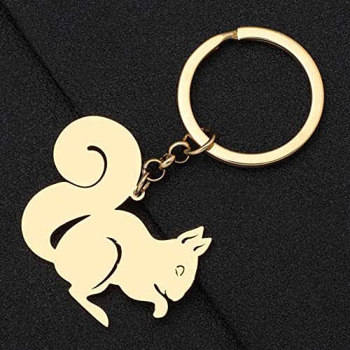 LONYOO Cute Squirrel Keychain Stainless Steel Keyring Squirrel Gifts for Women Girls Car Key Backpack Charms (Gold Plated)