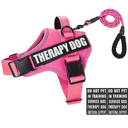 Dog Vest Harness and Leash Set, Animire Reflective Service Dog Vest with 10 Patches, 3 Rings No Choke Pet Vest for Leash Placement, in Training Dog Harness for Small Medium Large Dogs(Hot Pink,XS)
