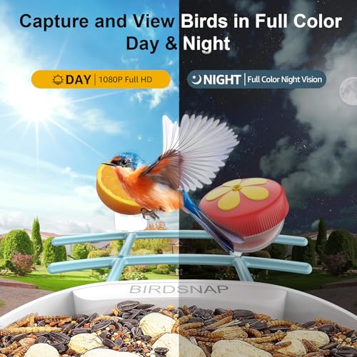 birdsnap® PAV - Smart Bird Feeder with Camera, 5 DIY Add-ons & 64G SD Card Auto Record Bird Video Bird House for Outside, AI Identify Bird Auto Capture with Solar Panel, Ideal Gift for Bird Lover