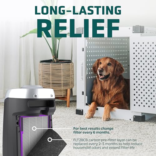 GermGuardian Filter C Pet Pure HEPA Genuine Air Purifier Replacement Filter, Removes 99.97% of Pollutants, for AC5000, AC5250, AC5300, AC5350, CDAP5500, AP2800, 2-Pack, Black/Purple, FLT5250PT2PK