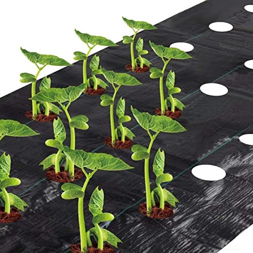 Agfabric Easy-Plant Weed Block for Raised Bed Outdoor Garden Weed Rugs Garden mat 3.0oz, 4'x12',with Planting Hole Dia 4"