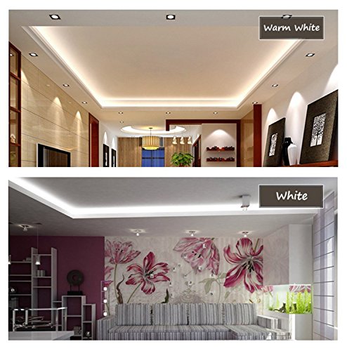 IEKOV Warm White Color LED Strip Light, AC 110-120V Flexible/Waterproof/Multi-Modes Function/Dimmable SMD5050 LED Rope Light with Remote for Home/Office/Building Decoration (16.4ft/5m)