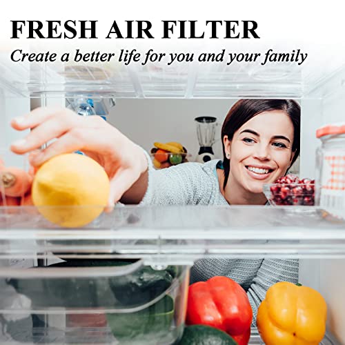 Funmit Refrigerator Air Filter Replacement Compatible with Frigidaire PAULTRA Pure Air Ultra and Electrolux EAFCBF Fridge Replace 242061001, 242047801, 242047804-3 Pack