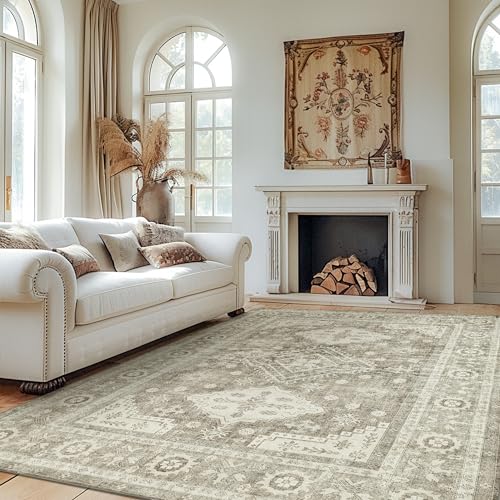 BEIMO 2x3 Rugs for Entryway, 2x3 Area Rugs Non Slip for Bedroom ，Machine Washable Ultra-Thin Print Boho Vintage Aesthetic Carpet, Low Pile Mat with Non Slip Rubber Backing, Distressed Gray