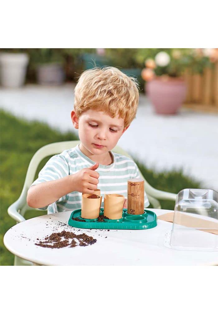 Hape Plant Growing Wooden Greenhouse Kits for Kids STEM Project Activity| Green Toys Gardening Science Gifts for Kids Ages 4Y+