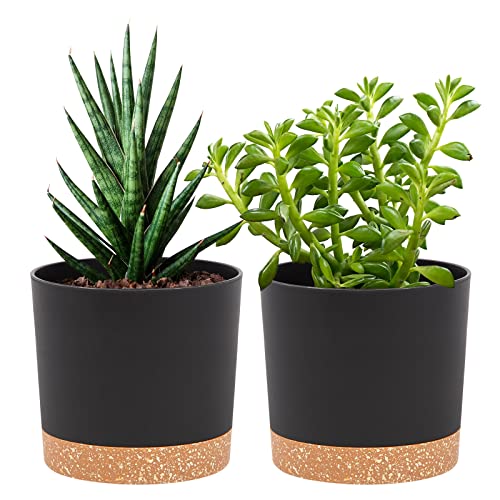 QCQHDU 2 Pack Window Boxes Planters,16”x 7" Self Watering Pots with Drainage Holes and Trays,Indoor Home Garden Modern Decorative Plant Pot for All House Plants Flowers Herbs (White)
