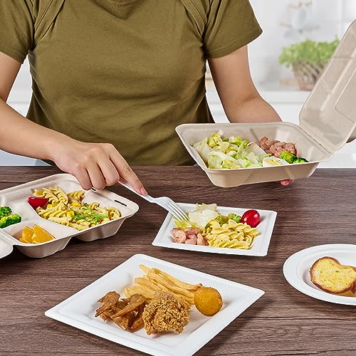 ECOLipak 300 Pack Clamshell To Go Containers, 100% Compostable Disposable Take Out Food Containers, 8X8 inch 3-Compartment Heavy-Duty To Go Boxes