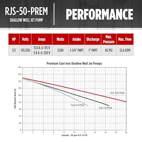 Red Lion RJS-50-PREM 1/2 HP, 12 GPM, 115/230 Volt, Premium Cast Iron Shallow Well Jet Pump, Red, 602206