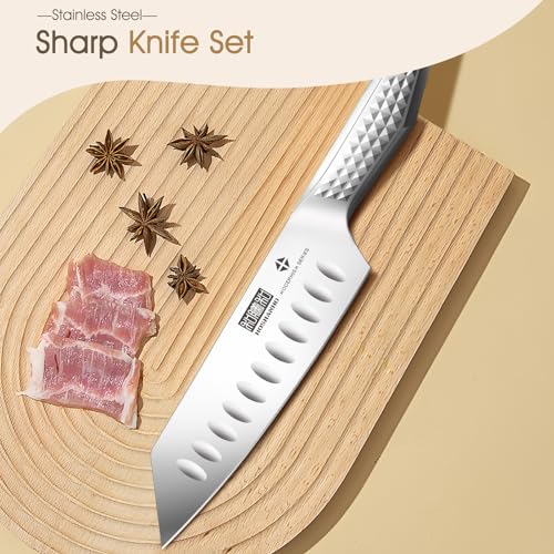 HOSHANHO Steak Knives Set of 6, 4.5 Inch Sharp Serrated Kitchen Steak Knife Set, High Carbon Japanese Stainless Steel Steak Knives with Ergonomic Handle