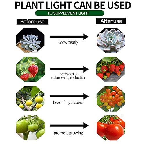 Espird Outdoor LED Grow Lights for Greenhouse 6-Light Waterproof String Grow Light, Full Spectrum LED Plant Grow Light Lamp, Waterproof Greenhouse Grow Lights for Seedling, Veg, Flower