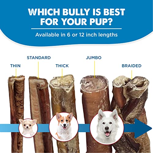 Best Bully Sticks Premium Hickory Smoked 100% Natural Thick 6 Inch Bully Sticks for Dogs - Odor Free with Smoky Aroma - No Additives Free-Range Grass-Fed Beef, Grain-Free Dog Chews - 5 Pack