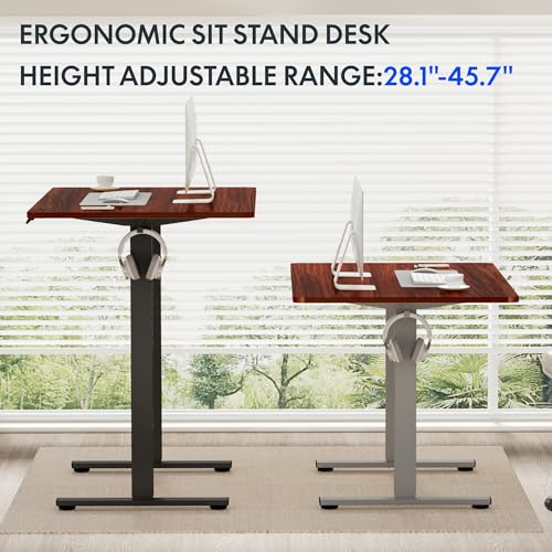 FLEXISPOT Standing Desk Electric Sit Stand Desk with 48 x 24 Inches Ergonomic Memory Controller Adjustable Height Desk with USB Charging Ports