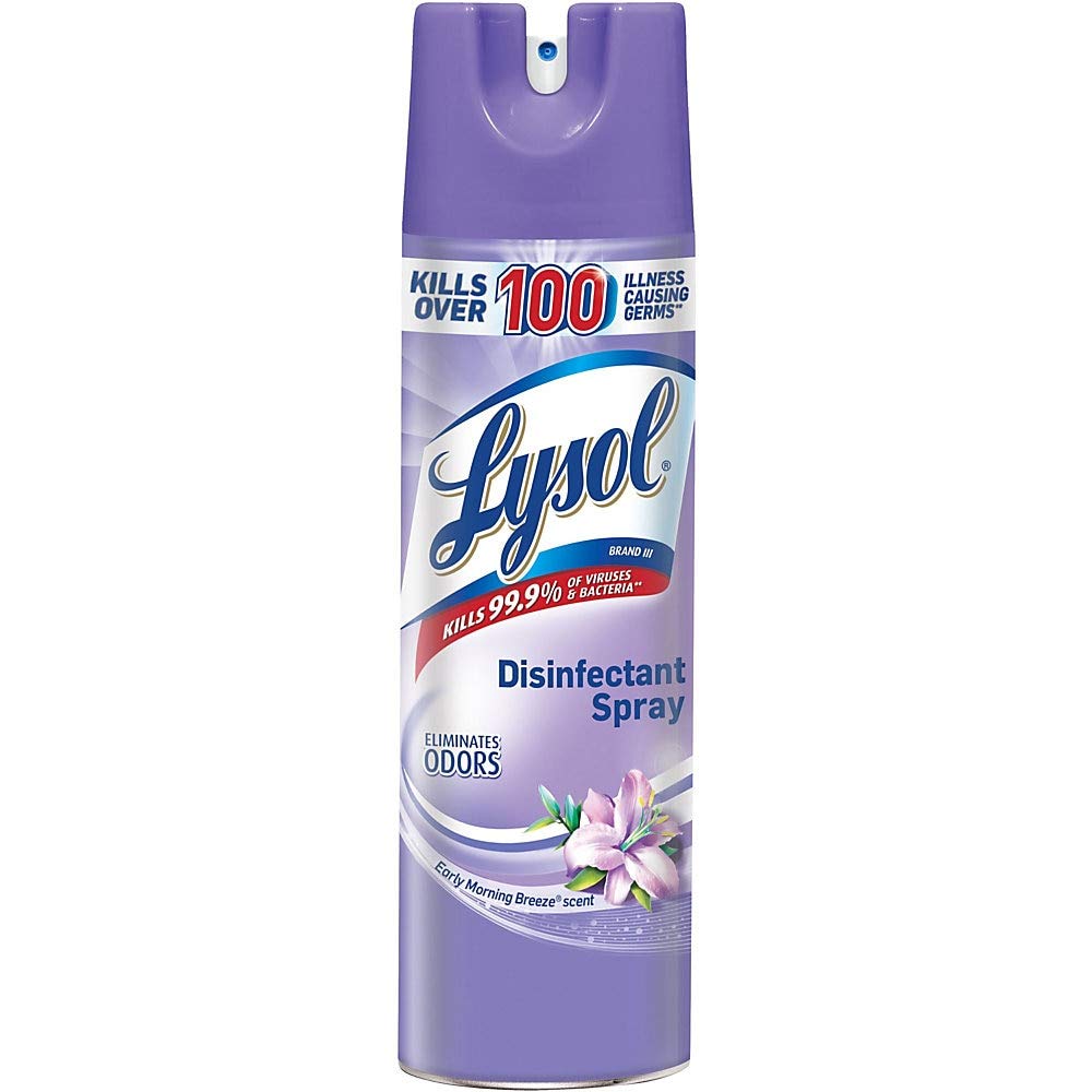 Lysol Disinfectant Spray, Sanitizing and Antibacterial Spray, For Disinfecting and Deodorizing, Early Morning Breeze, 19 Fl Oz, (Packaging May Vary)