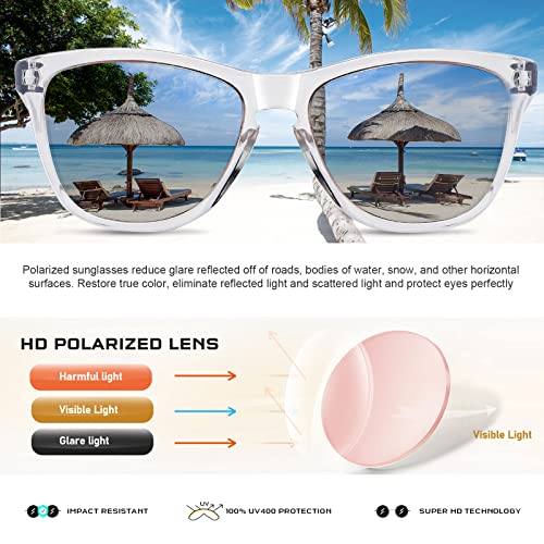 DANAMY Sunglasses Womens Polarized Sunglasses for Women Men Classic Retro Designer Style Trendy Mirrored Sun Glasses