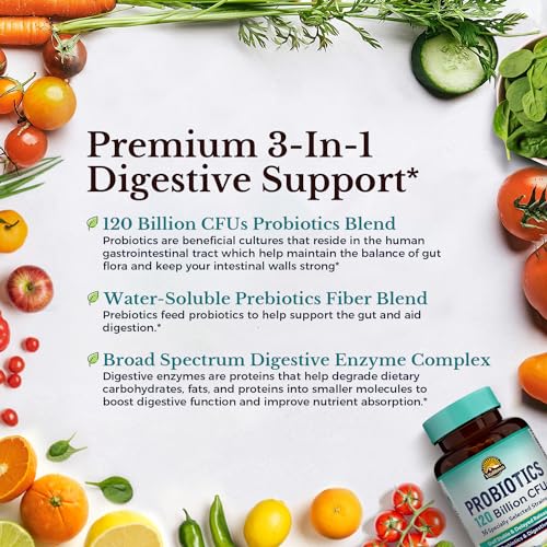 VITALITOWN Probiotics + Prebiotics | 60 Billion CFUs 19 Strains | 60 Delayed Release Veg Caps | Shelf Stable, Prebiotics and Probiotics | Digestive Health, Immune Health | Vegan, Non-GMO, No Dairy