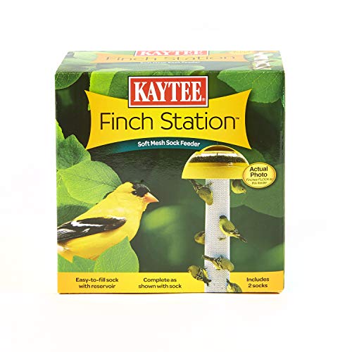 Kaytee Wild Bird Finch Food Blend, 3 lb