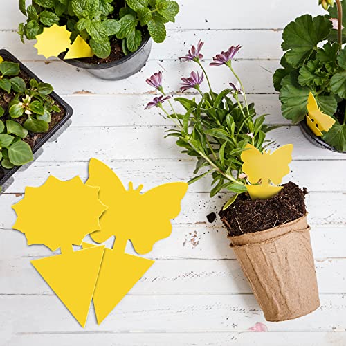 Landisun Fruit Fly Sticky Traps 48PCS Fungus Gnat Traps Bug Traps Gnat Killer for Indoor Outdoor House Kitchen Plants Whitefly Mosquitos Flying Insects Yellow Designed by JPMOS