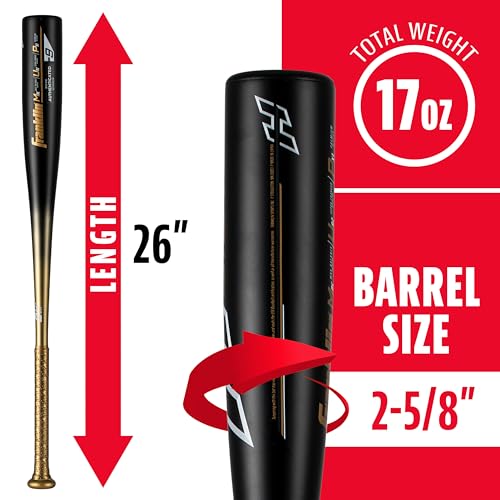 Franklin Sports Youth Baseball Bat - Heist Kids Baseball Bats for Ages 8-12 - 2 5/8" Inch Big Barrel Kids Metal Bat - Youth Drop -10 Aluminum Bats - USA Baseball - 30" Inch / 20oz. - Royal 1000