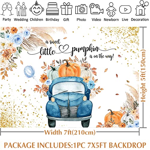 Avezano Blue Pumpkin Baby Shower Backdrop for Boy Boho Fall Baby Shower Decorations Little Pumpkin Truck Banner Thanksgiving Autumn Newborn Baby Shower Party Background(7x5ft)