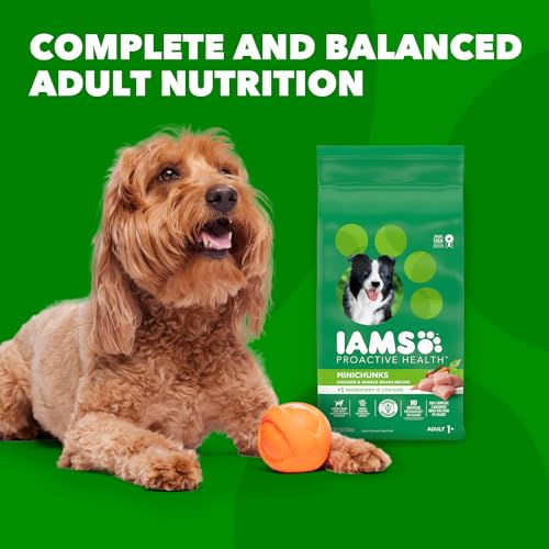 IAMS Proactive Health Minichunks Adult Dry Dog Food with Real Chicken, 3.3 lb. Bag