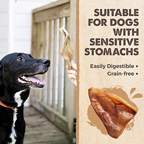 Mighty Paw Full Pig Ears for Dogs | All Natural Dog Treats. Single Ingredient Pig Ear Dog Treats. Better Than Rawhide Dog Snacks for Puppy and Large/Medium Dogs. Pigs Ears Dog Chews, Dog Pig Ears