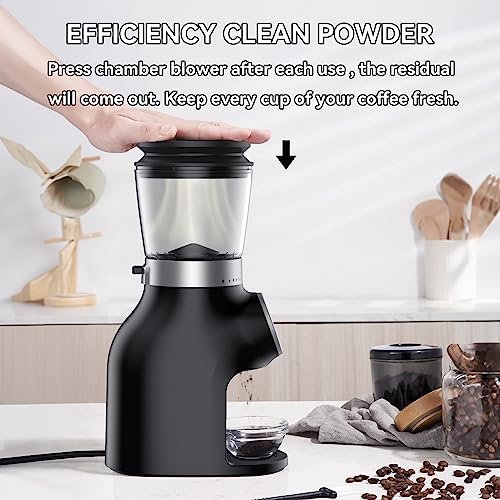 BEEONE Burr Coffee Grinder with Digital Control, Espresso Grinder with 31 Precise Settings for 1-10 Cups, Coffee Been Grinder with Time Display for Home use, Black