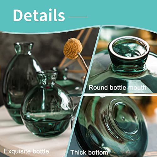 Small Vases for Centerpieces Glass Esmiome- Amber 3pcs/Set Bud Vases, Short Minimalist Vase Clear Modern Flower Vase Mini Tiny Vases Cute Handmade for Home Wedding Decor Decorative, Events Bookshelf