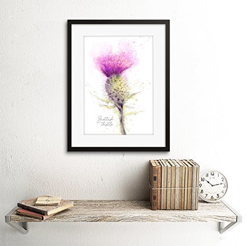 Wee Blue Coo Scottish Thistle Flower Head Watercolour Scotland Framed Art Print