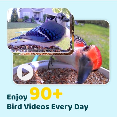 NETVUE Birdfy AI Smart Bird Feeder with Camera, AI Auto Capture Each Bird Come & Identify 6000+ Bird Species, Cloud Store Bird Videos & Birdwatching On Live, Ideal Gift for Bird Lover (Blue)