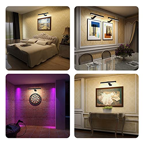 TINTINDOC Wireless LED Picture Light with Remote,Rechargeable Battery Painting Light for Display Art Work,300Lumens Brightness Adjustable Highlight Picture Painting Arts Dartboard with Metal Body