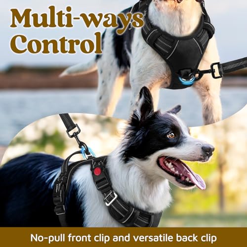 rabbitgoo Dog Harness Small Sized, No Pull Dog Vest Harness with 3 Buckles, Adjustable Soft Padded Pet Harness with Easy Control Handle and Reflective Strips, Black, S
