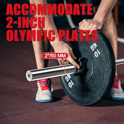 Olympic Barbell Curl Bar EZ Bar Strength Training Bar Threaded Chrome Barbell Bar for Weightlifting, Hip Thrusts, Squats and Lunges