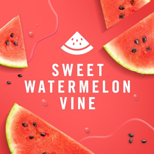 Febreze Small Spaces Air Freshener, Odor-Fighting, Plug In Alternative, for Home and Bathroom and Kitchen, Closet Air Fresheners, Sweet Watermelon Vine & Southern Lilac Mornings Scent, 4 Count