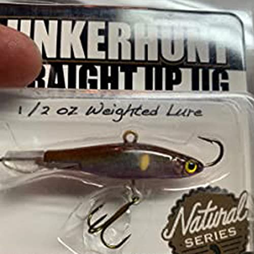 LUNKERHUNT | Ice Fishing Jigs with Fixed Face and Tail Hooks for Bass Fishing | Ultra Realistic Shad Bait Proven Fish Catching Jigs Lure for Crappie, Panfish, Walleye | Common Shiner Color