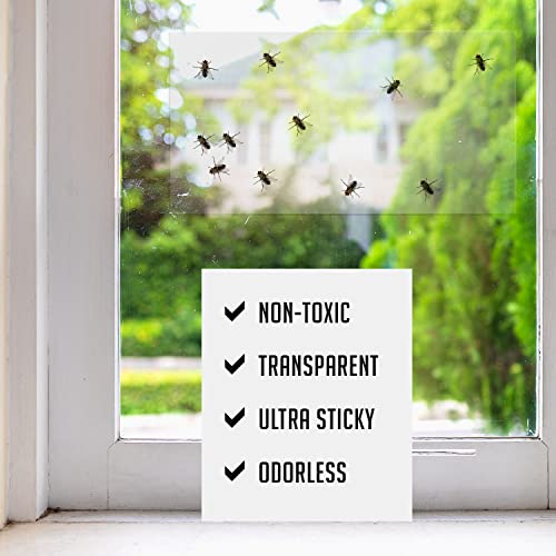 Window Fly Traps Indoor Clear (30 Pack) - Fly Window Traps for Indoors Sticky, Indoor Fly Trap Non-Toxic Fly Strips for Windows - Fly Sticky Traps Indoor Fly Paper Indoor Bug Sticky Traps (8.25" x 5")