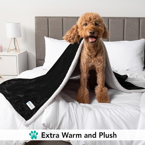PetAmi Dog Blanket for Medium Large Dogs, Pet Bed Blanket Cat Puppy Kitten, Fleece Furniture Couch Cover Protector Sofa Car, Soft Sherpa Dog Throw Plush Reversible Washable, 40x60 Plaid Taupe