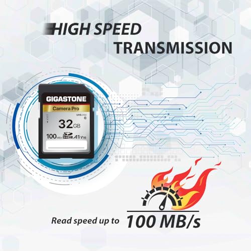 [5-Yrs Free Data Recovery] GIGASTONE 32GB SD Card 2-Pack, Camera Pro, A1 V10 SDHC Memory Card Compatible with SPYPOINT TACTACAM Trail Camera, with 2 Mini Cases